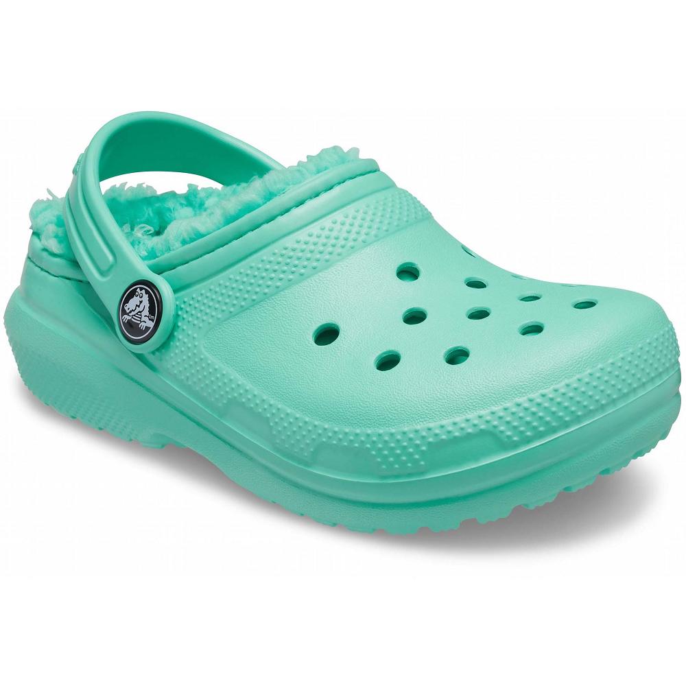 Mint Boys' Crocs Classic Lined Clog Slippers | NZ 1449LISH